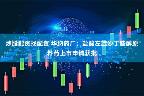 炒股配资找配资 华纳药厂：盐酸左旋沙丁胺醇原料药上市申请获批