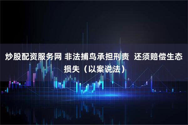 炒股配资服务网 非法捕鸟承担刑责  还须赔偿生态损失（以案说法）