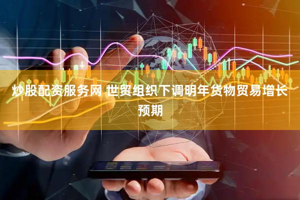 炒股配资服务网 世贸组织下调明年货物贸易增长预期